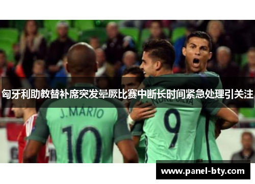 匈牙利助教替补席突发晕厥比赛中断长时间紧急处理引关注