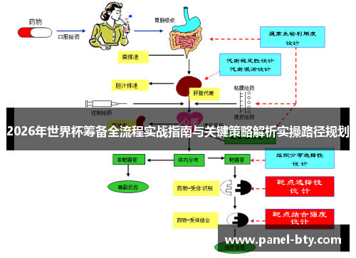 2026年世界杯筹备全流程实战指南与关键策略解析实操路径规划